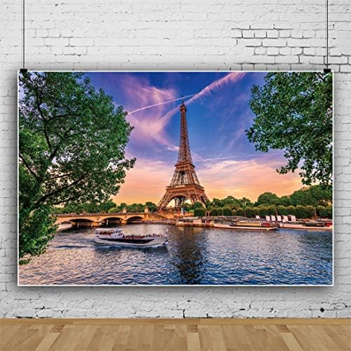 DORCEV 10x8ft Фона на Айфеловата Кула, Градски пейзаж на Париж, Сено, Слънчев Мост, Езерото, Тематичен Фон за снимки
