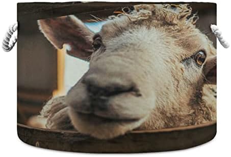 Кръгла Кошница за съхранение на Овце Кигай, кош за играчки с дръжка от Памучни Въжета, Кошница за дрехи, Органайзер за